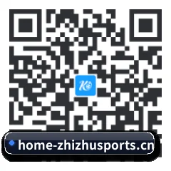 APP 安卓 二维码